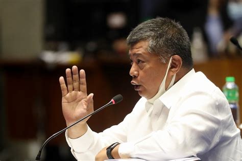 Remulla orders NBI to stop operations vs POGOs .
